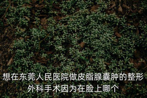 想在東莞人民醫院做皮脂腺囊腫的整形外科手術因為在臉上哪個