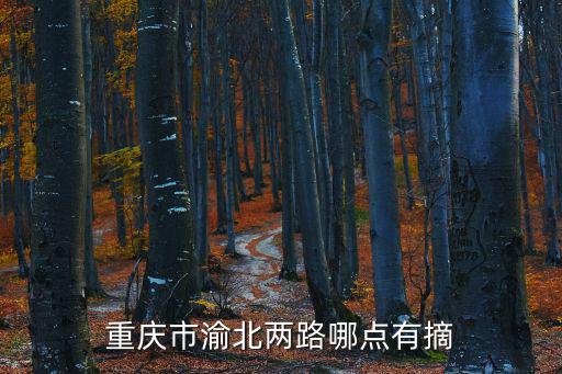 重慶市渝北區(qū)木耳鎮(zhèn)政府官網(wǎng)，重慶渝北區(qū)木耳鎮(zhèn)規(guī)劃兩江新區(qū)的有那些村我是白云山村的在規(guī)劃以內(nèi)