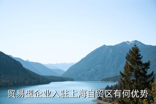 貿(mào)易型企業(yè)入駐上海自貿(mào)區(qū)有何優(yōu)勢
