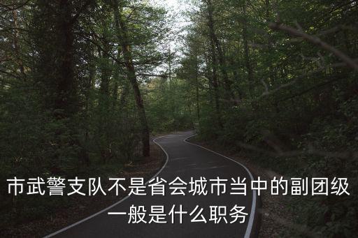 市武警支隊不是省會城市當中的副團級一般是什么職務