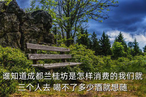 成都市蘭桂坊卡座多少錢，誰知道成都蘭桂坊是怎樣消費的我們就三個人去 喝不了多少酒就想隨