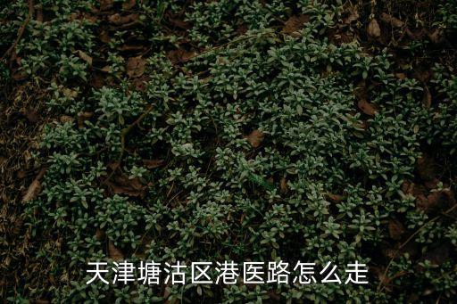 天津塘沽區(qū)港醫(yī)路怎么走