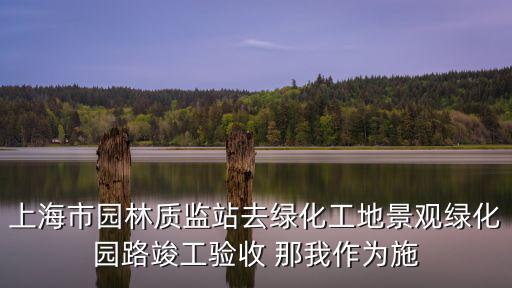 上海市園林質(zhì)監(jiān)站去綠化工地景觀綠化園路竣工驗(yàn)收 那我作為施
