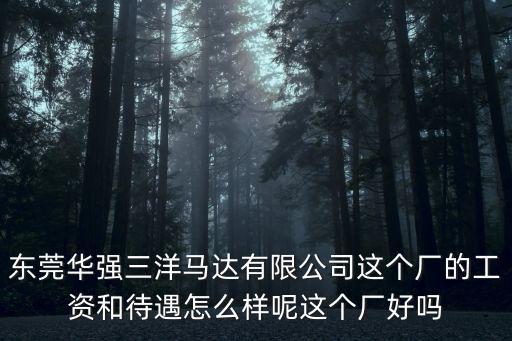 東莞三洋馬達待遇怎么樣，東莞華強三洋馬達有限公司這個廠的工資和待遇怎么樣呢這個廠好嗎