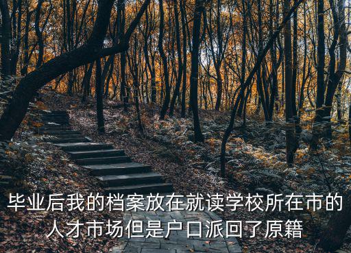畢業后我的檔案放在就讀學校所在市的人才市場但是戶口派回了原籍