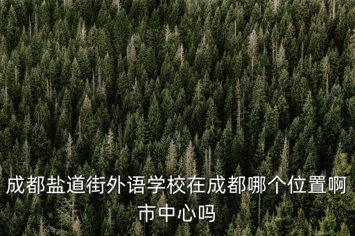 成都鹽道街外語學校在成都哪個位置啊市中心嗎
