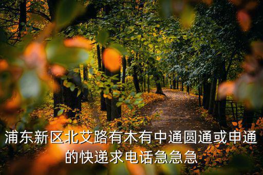 上海市浦東新區東靖圓通客服，離上海浦東新區大道站路最近的快遞公司電話是多少