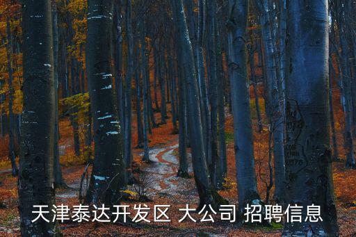 天津泰達開發區 大公司 招聘信息