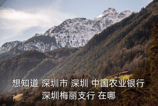 深圳中國銀行梅麗支行，深圳皇室派對附近的中國銀行是什么支行
