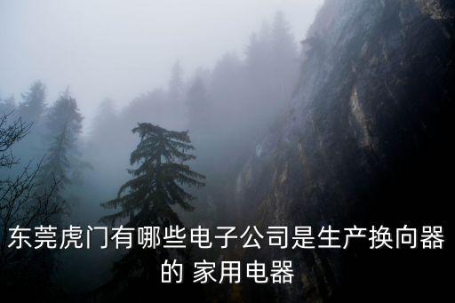 德普達東莞顯示設備有限公司，東莞虎門有哪些電子公司是生產換向器的 家用電器