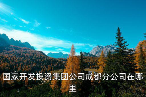 國(guó)家開發(fā)投資集團(tuán)公司成都分公司在哪里