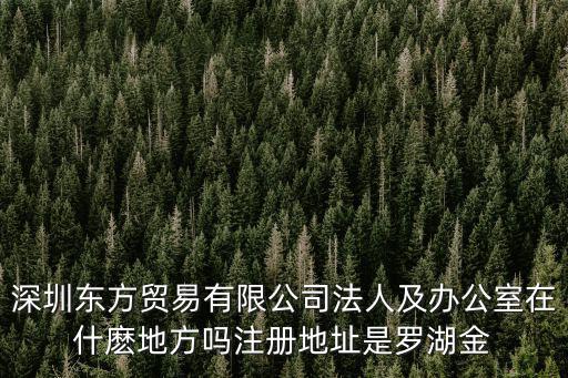 深圳東方貿易有限公司法人及辦公室在什麼地方嗎注冊地址是羅湖金