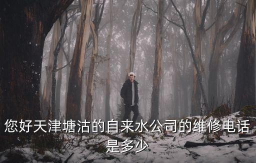 您好天津塘沽的自來水公司的維修電話是多少