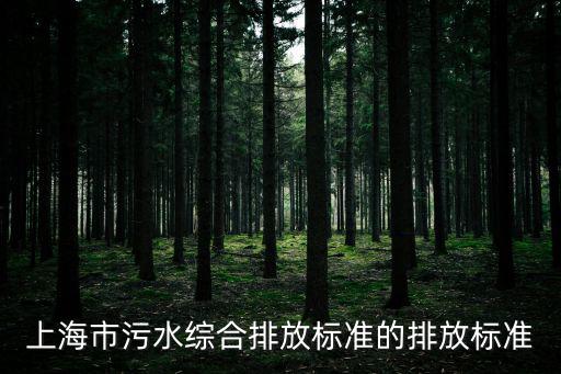 廢止上海市城鎮下水道水質標準，上海市污水綜合排放標準的排放標準