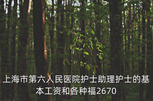 上海市第六人民醫院護士助理護士的基本工資和各種福2670