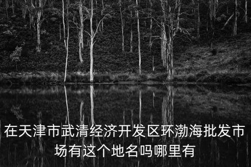 在天津市武清經濟開發區環渤海批發市場有這個地名嗎哪里有