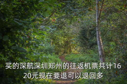 買的深航深圳鄭州的往返機票共計1620元現在要退可以退回多