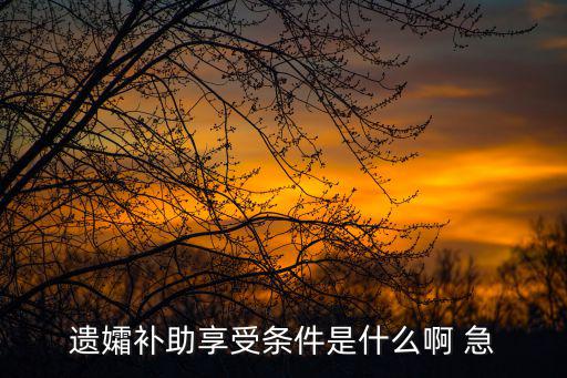 遺孀補(bǔ)助享受條件是什么啊 急