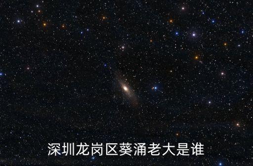 深圳凌雄，深圳龍崗區葵涌老大是誰