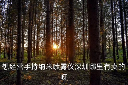 想經營手持納米噴霧儀深圳哪里有賣的呀