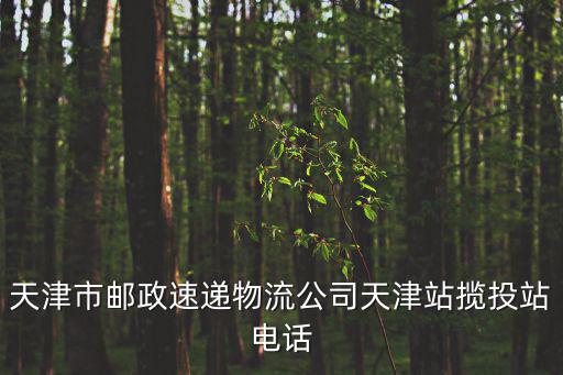 天津市郵政速遞物流公司天津站攬投站電話