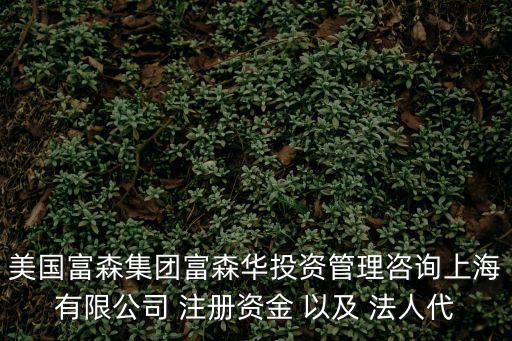 美國富森集團富森華投資管理咨詢上海有限公司 注冊資金 以及 法人代