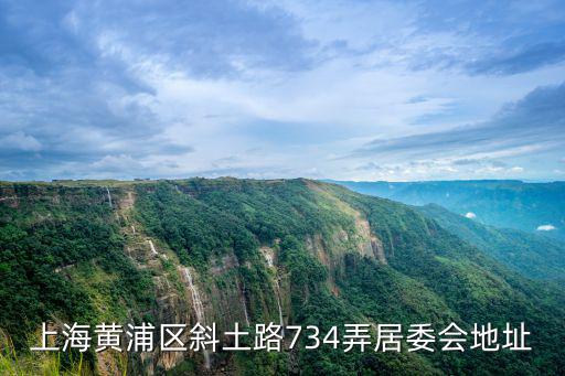 上海黃浦區斜土路734弄居委會地址