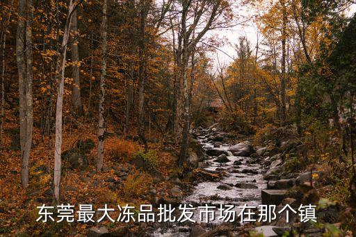 東莞最大凍品批發市場在那個鎮