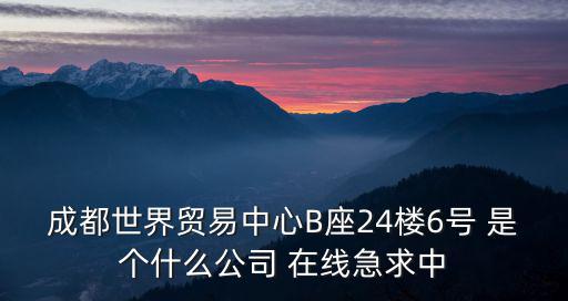 成都世界貿易中心B座24樓6號 是個什么公司 在線急求中
