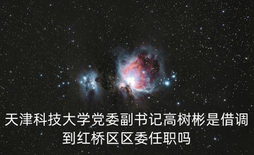 天津市委 曹小紅，天津科技大學食品學院哪個老師