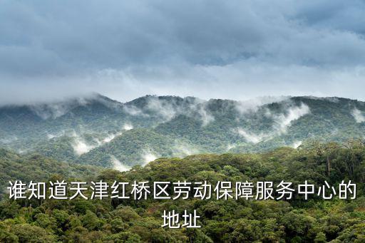 誰知道天津紅橋區勞動保障服務中心的地址