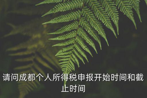 成都市申報(bào)個(gè)稅時(shí)間，成都年度所得稅申報(bào)時(shí)間