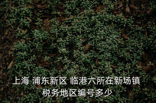 上海 浦東新區(qū) 臨港六所在新場鎮(zhèn) 稅務(wù)地區(qū)編號多少