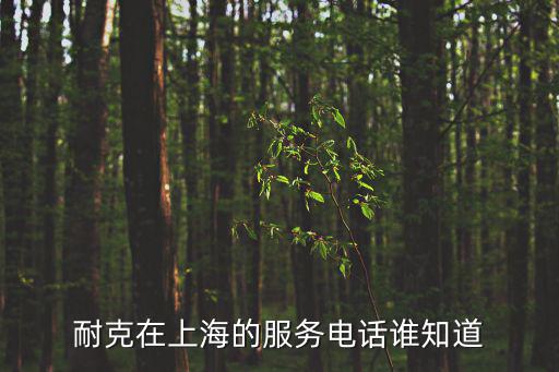 耐克在上海的服務(wù)電話誰知道