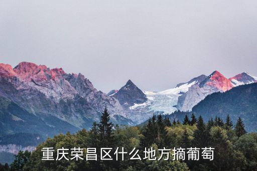 重慶榮昌區什么地方摘葡萄