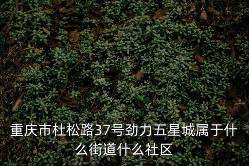 重慶市杜松路37號勁力五星城屬于什么街道什么社區(qū)