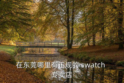 在東莞哪里有正規的 swatch 專賣店