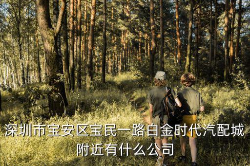 深圳市寶樂惠貿易有限公司，深圳哪里有批發無窮愛辣雞爪的地方