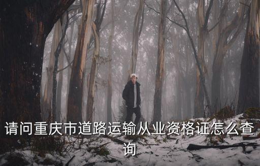 請問重慶市道路運輸從業資格證怎么查詢