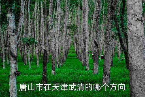 唐山市在天津武清的哪個方向
