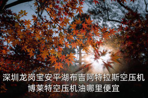 深圳龍崗寶安平湖布吉阿特拉斯空壓機博萊特空壓機油哪里便宜