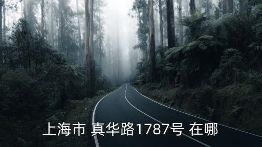 上海市 真華路1787號(hào) 在哪
