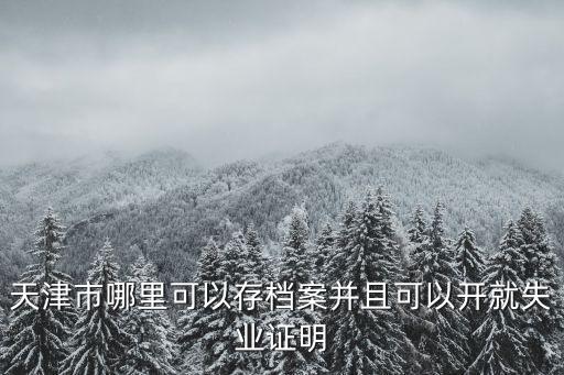 天津市文翰檔案管理咨詢有限公司，我查不到自己的檔案在哪個人才中心了在天津
