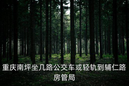 重慶市南岸區(qū)南坪輔仁路，重慶南坪輔仁路中通快遞在哪里