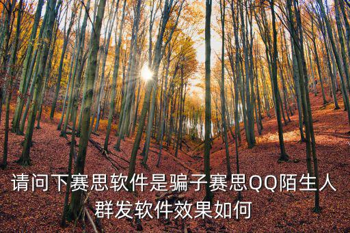 請問下賽思軟件是騙子賽思QQ陌生人群發軟件效果如何
