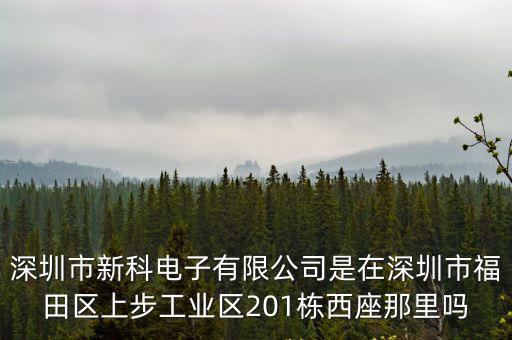 深圳市意法新科電子有限公司，深圳意法半導體這個公司怎么樣