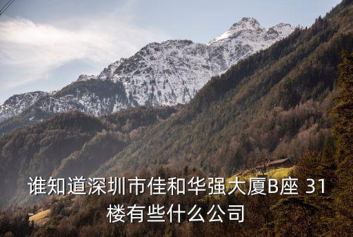 深圳市富宇宏科技有限公司，誰(shuí)知道深圳市佳和華強(qiáng)大廈B座 31樓有些什么公司