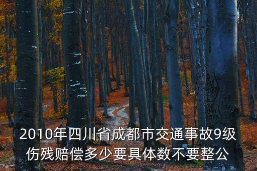 2010年四川省成都市交通事故9級(jí)傷殘賠償多少要具體數(shù)不要整公