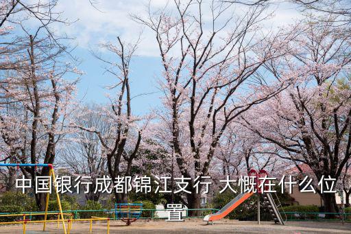 中國銀行成都錦江支行 大慨在什么位置