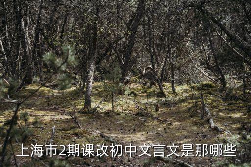  上海市2期課改初中文言文是那哪些